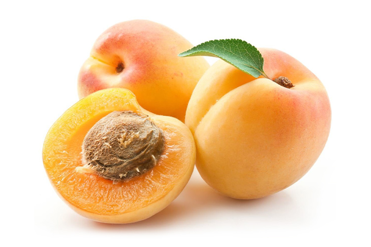 Apricot