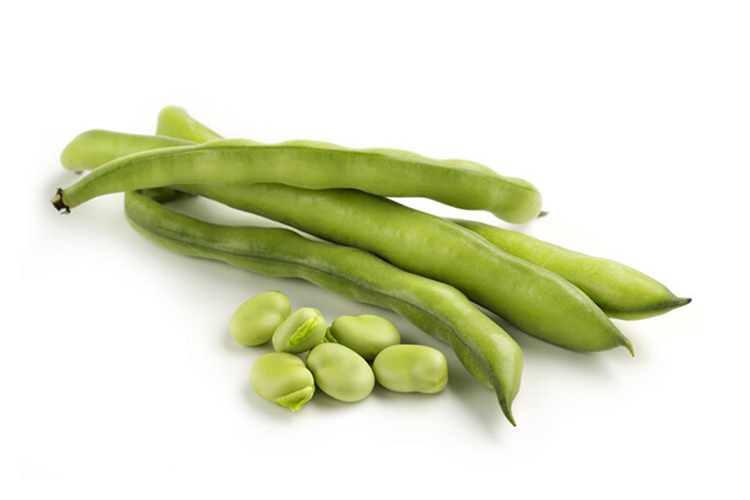 Broad Beans