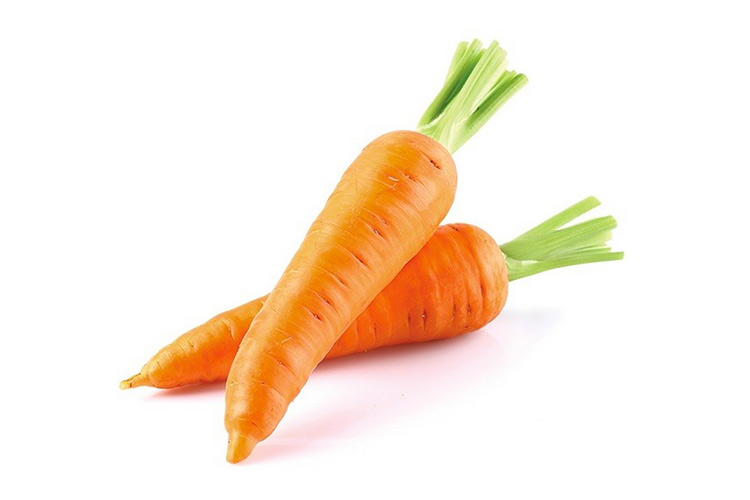 Carrot