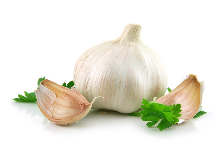 Garlic